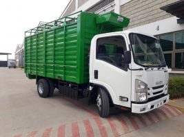 Isuzu Nmr local 2021